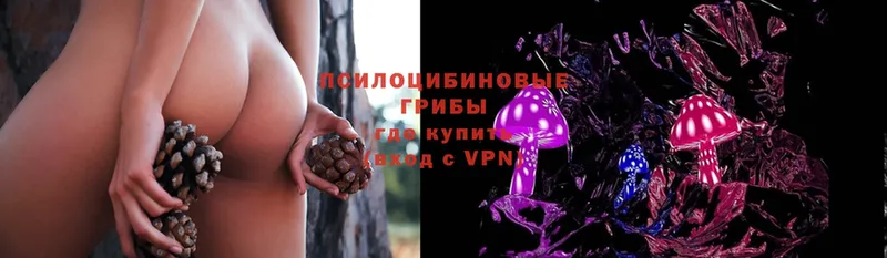 Псилоцибиновые грибы MAGIC MUSHROOMS  Семёнов 